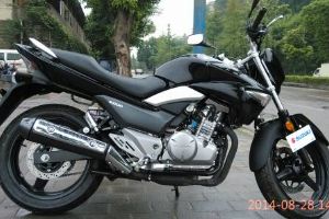 ������ľ ��·�ܳ� ��ľ���GW250˫��